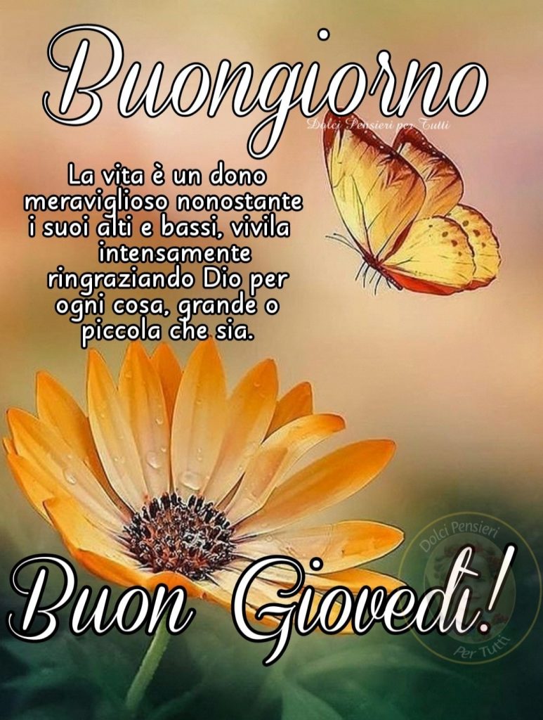 Buongiorno La vita è un dono meraviglioso nonostante i suoi alti e bassi, vivila intensamente ringraziando Dio per ogni cosa, grande o piccola che sia. Buon Giovedì!