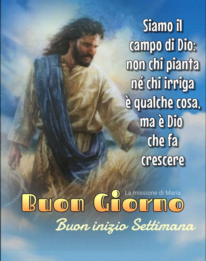 Siamo il campo di Dio: non chi pianta né chi irriga è qualche cosa, ma è Dio che fa crescere Buon Giorno Buon inizio settimana