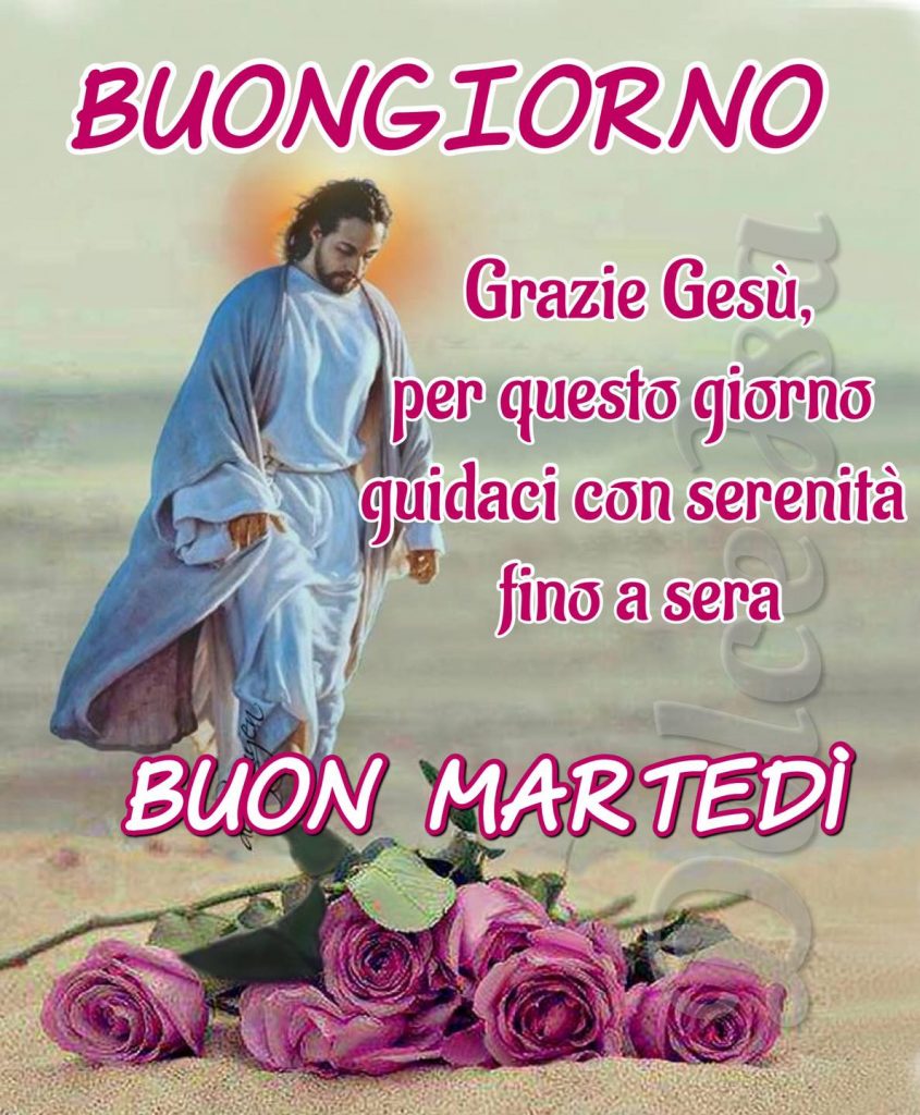 Buongiorno Grazie Gesù, per questo giorno guidaci con serenità fino a sera Buon Martedì