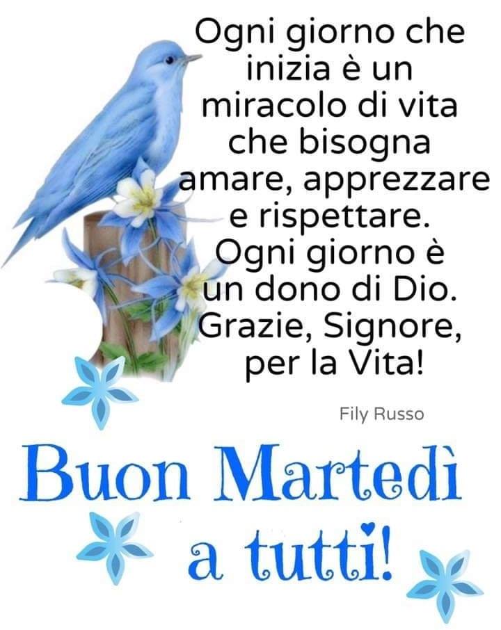 Ogni giorno che inizia è un miracolo di vita che bisogna amare, apprezzare e rispettare. Ogni giorno è un dono di Dio. Grazie, Signore, per la Vita! Buon Martedì a tutti!