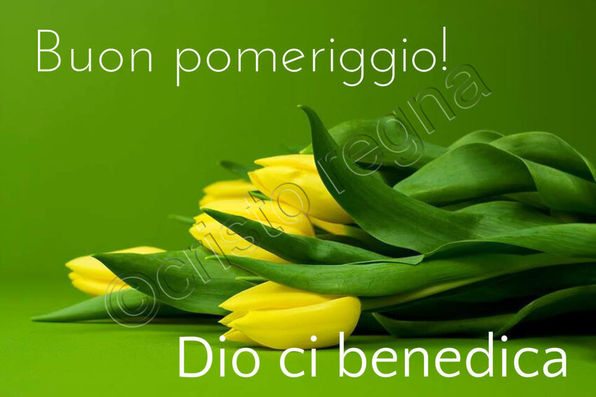 Buon Pomeriggio! Dio ci benedica