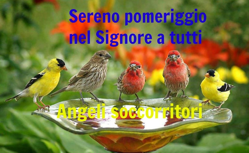 Sereno pomeriggio nel Signore a tutti