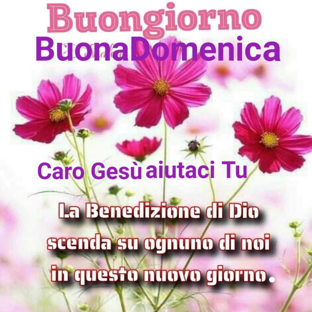 Buongiorno Buona Domenica La benedizione di Dio scenda su ognuno di noi in questo nuovo giorno