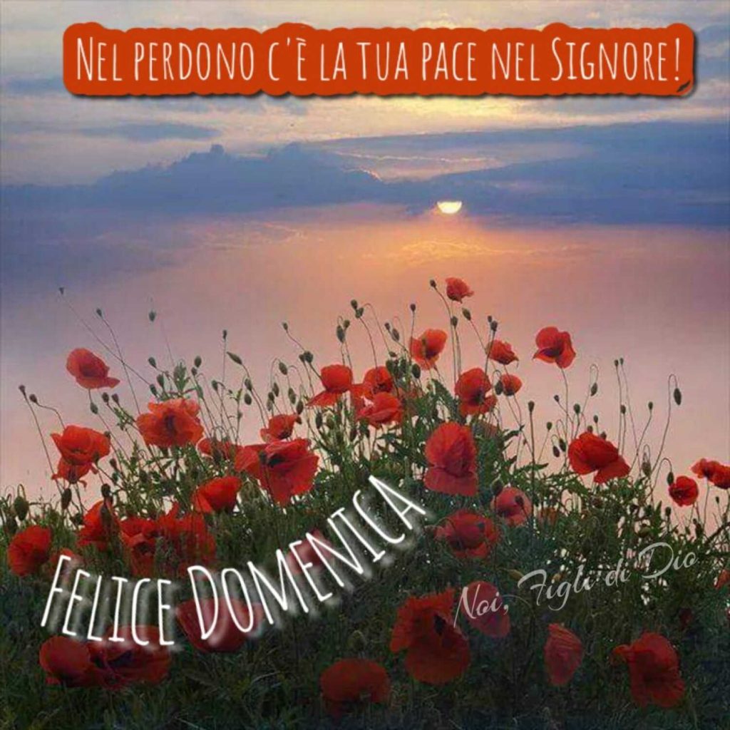 Nel perdono c'è la tua pace nel Signore Felice Domenica