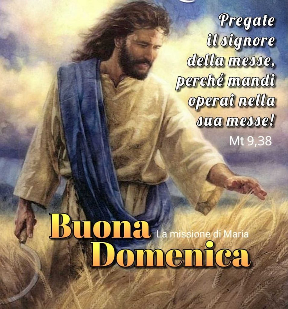 regate il Signore della messa, perché mandi operai nella sua messa! Buona Domenica