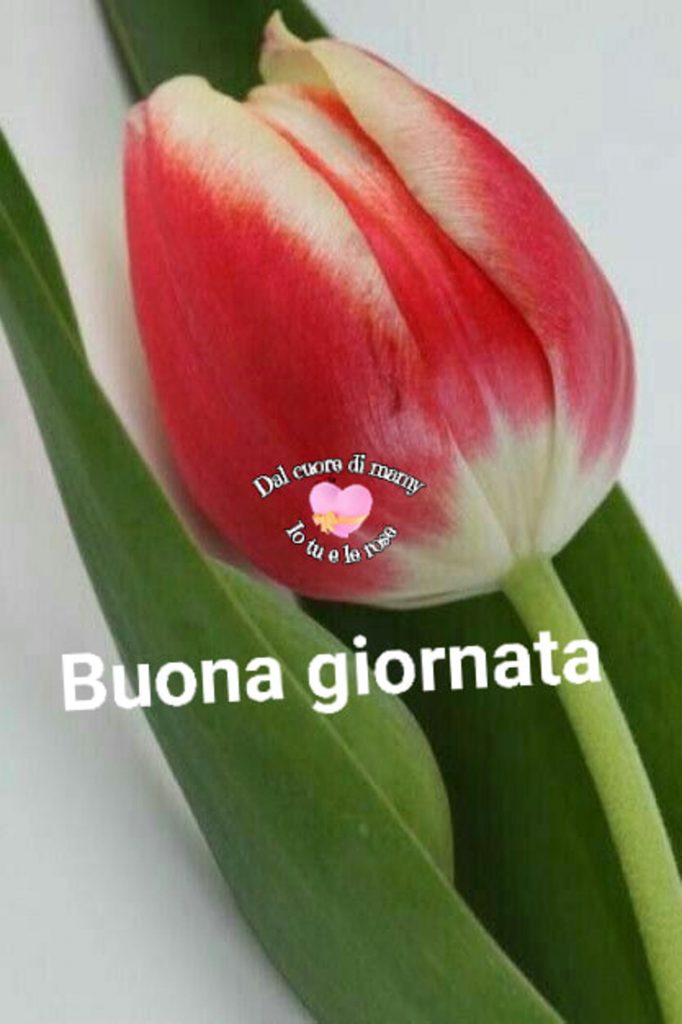 Buona Giornata