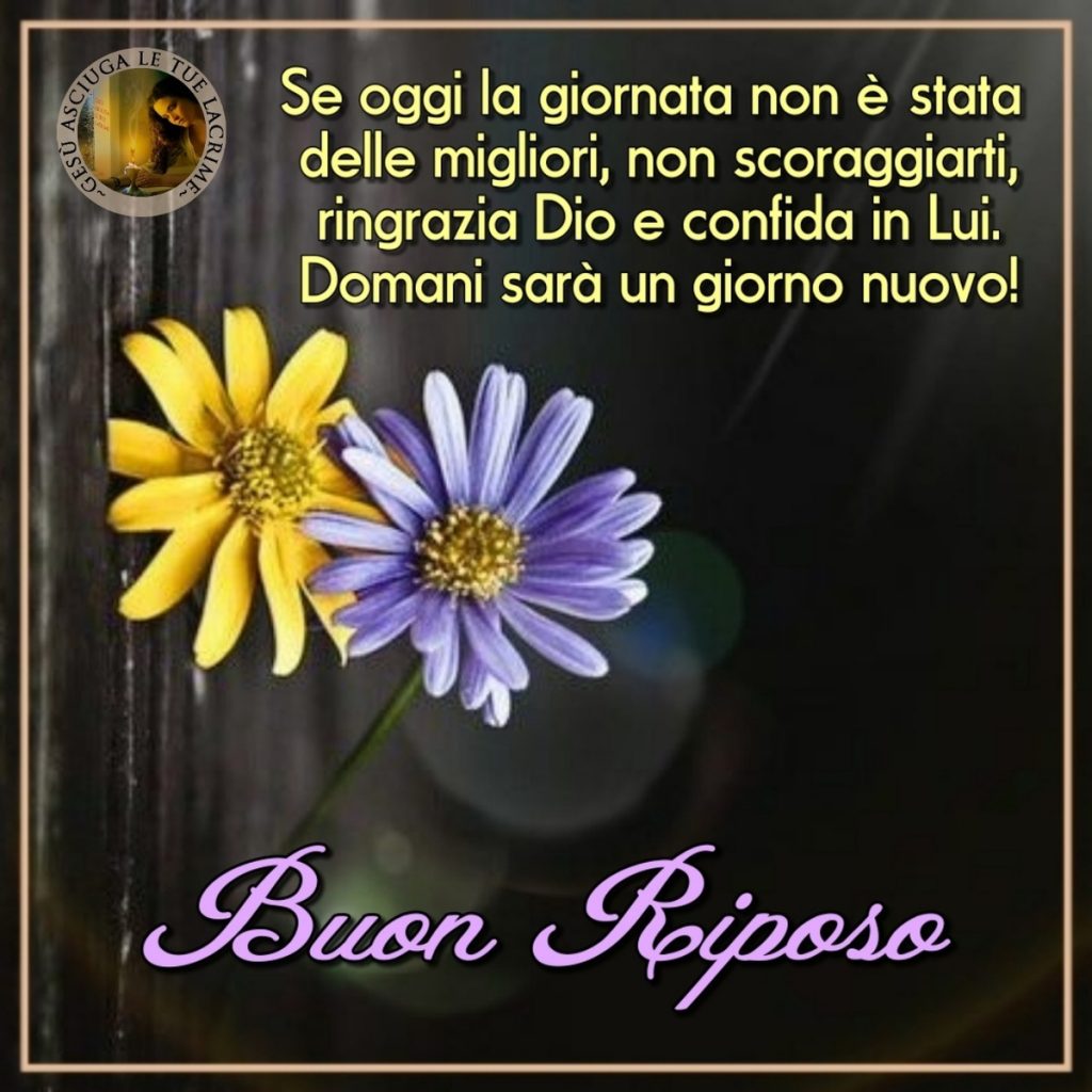 Se oggi la giornata non è stata delle migliori, non scoraggiarti, ringrazia Dio e confida in Lui. Domani sarà un giorno nuovo! Buon Riposo