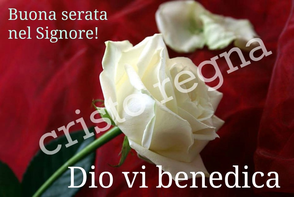 Buona serata nel Signore Dio vi benedica