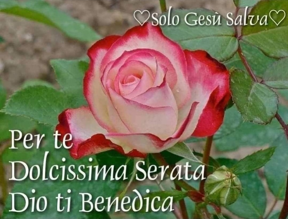 Per te dolcissima serata Dio ti Benedica