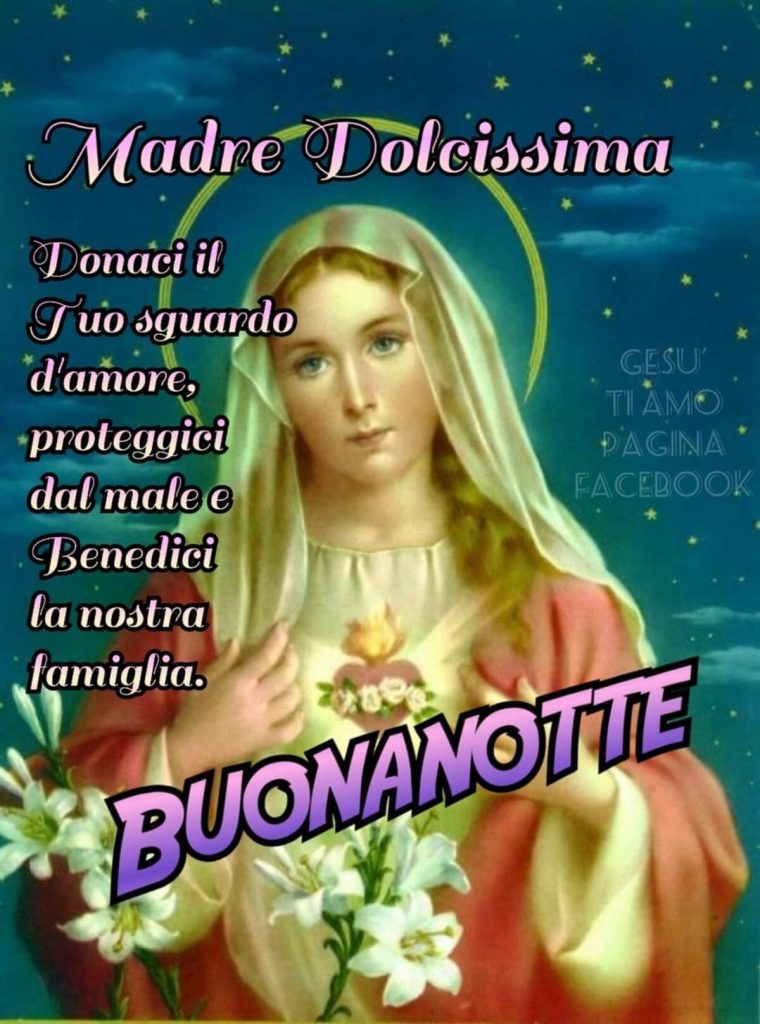 Madre Dolcissima, donaci il Tuo sguardo d'amore, proteggici dal male e benedici la nostra famiglia. BUONANOTTE