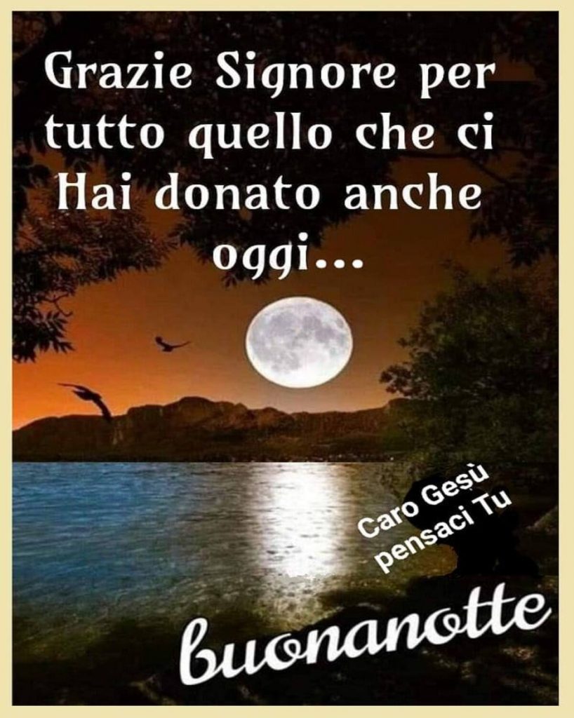 Grazie Signore per tutto quello che ci hai donato anche oggi... Buonanotte