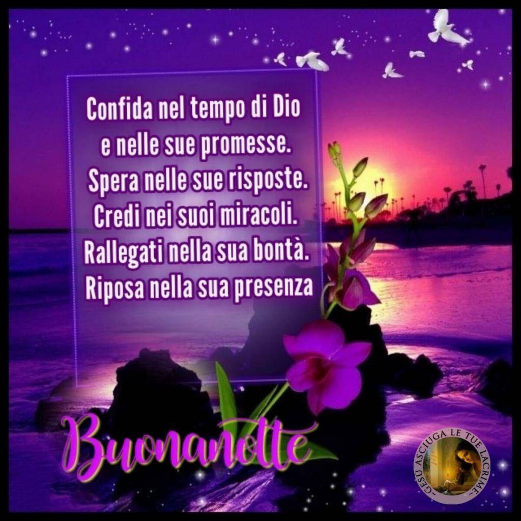Confida nel tempio di Dio e nelle sue promesse. Spera nelle sue risposte. Credi nei suoi miracoli. Rallegrati nella sua bontà. Riposa nella sua presenza. Buonanotte