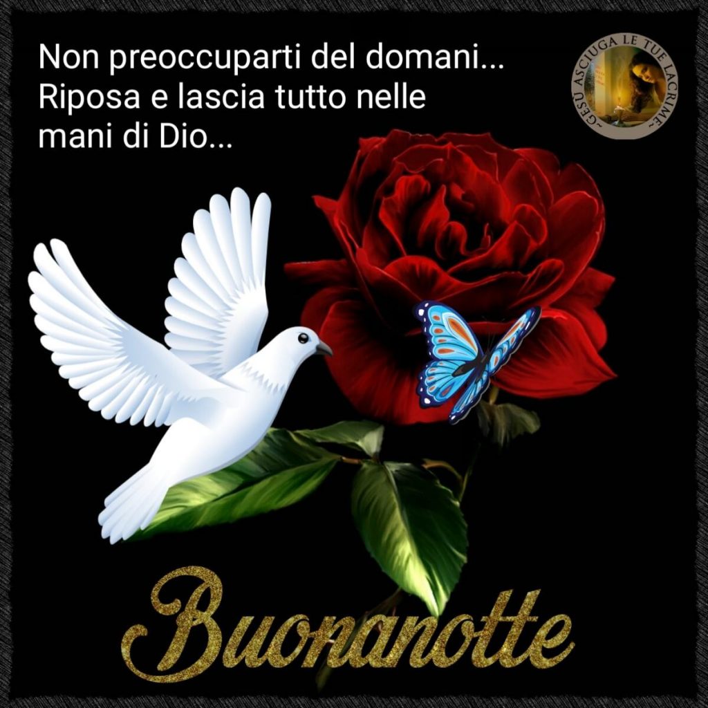 Non preoccuparti del domani... Riposa e lascia tutto nelle mani di Dio... Buonanotte