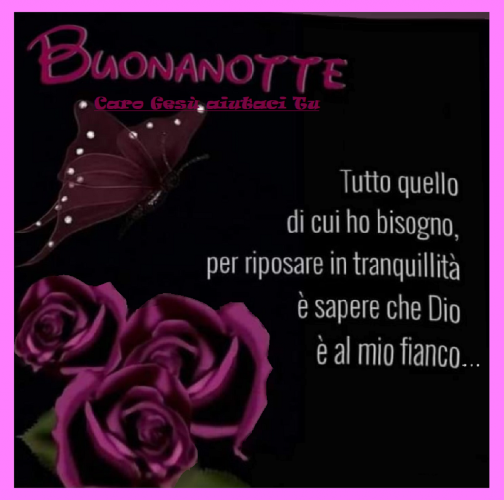 Buonanotte tutto quello di cui ho bisogno, per riposare in tranquillità è sapere che Dio è al mio fianco...