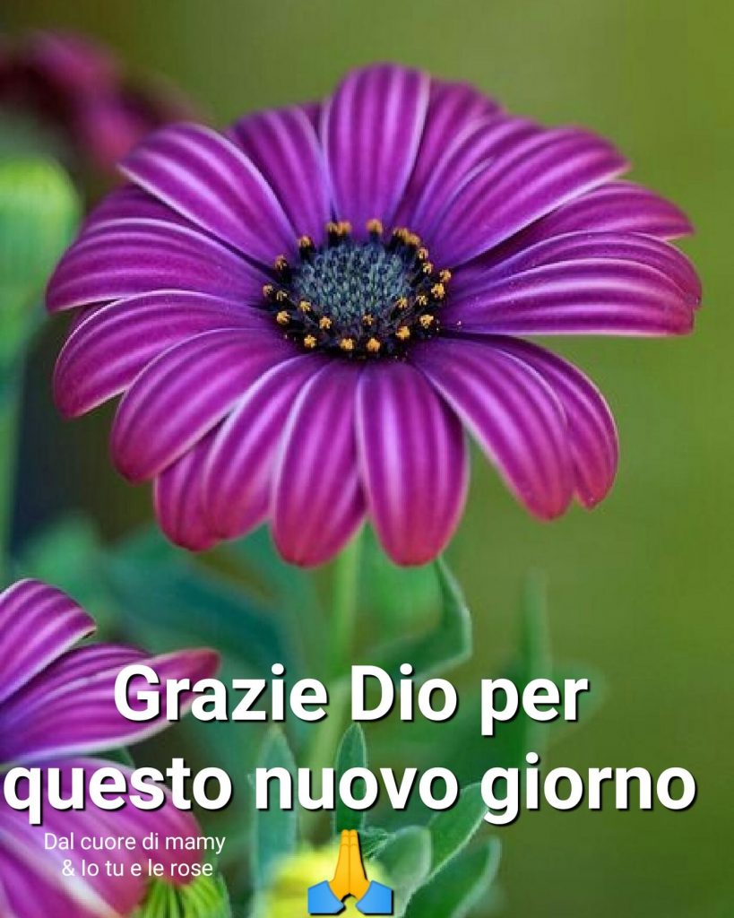 Grazie Dio per questo nuovo giorno