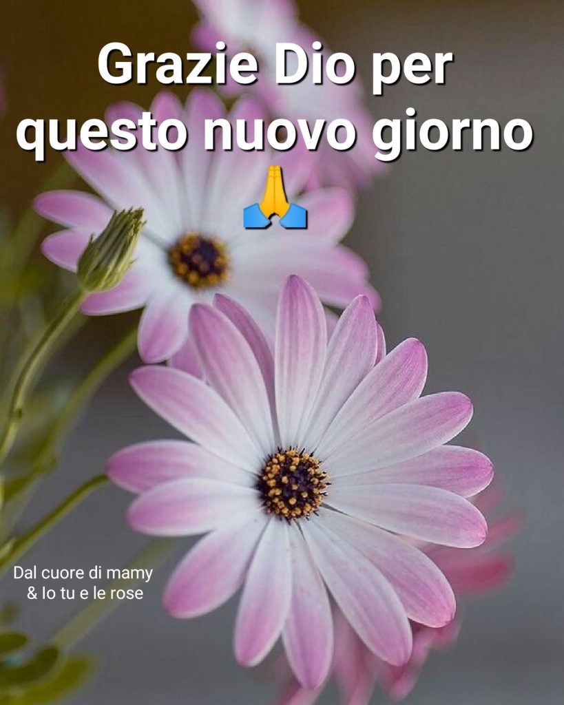 Grazie Dio per questo nuovo giorno