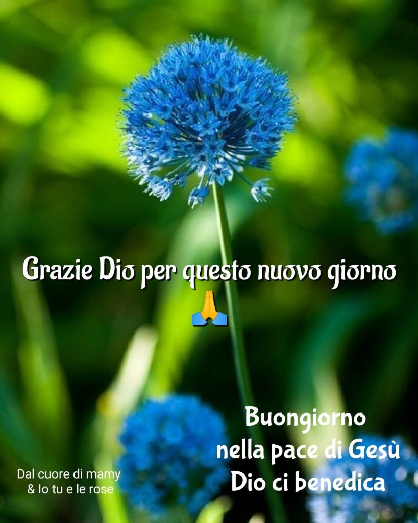 Grazie Dio per questo nuovo giorno