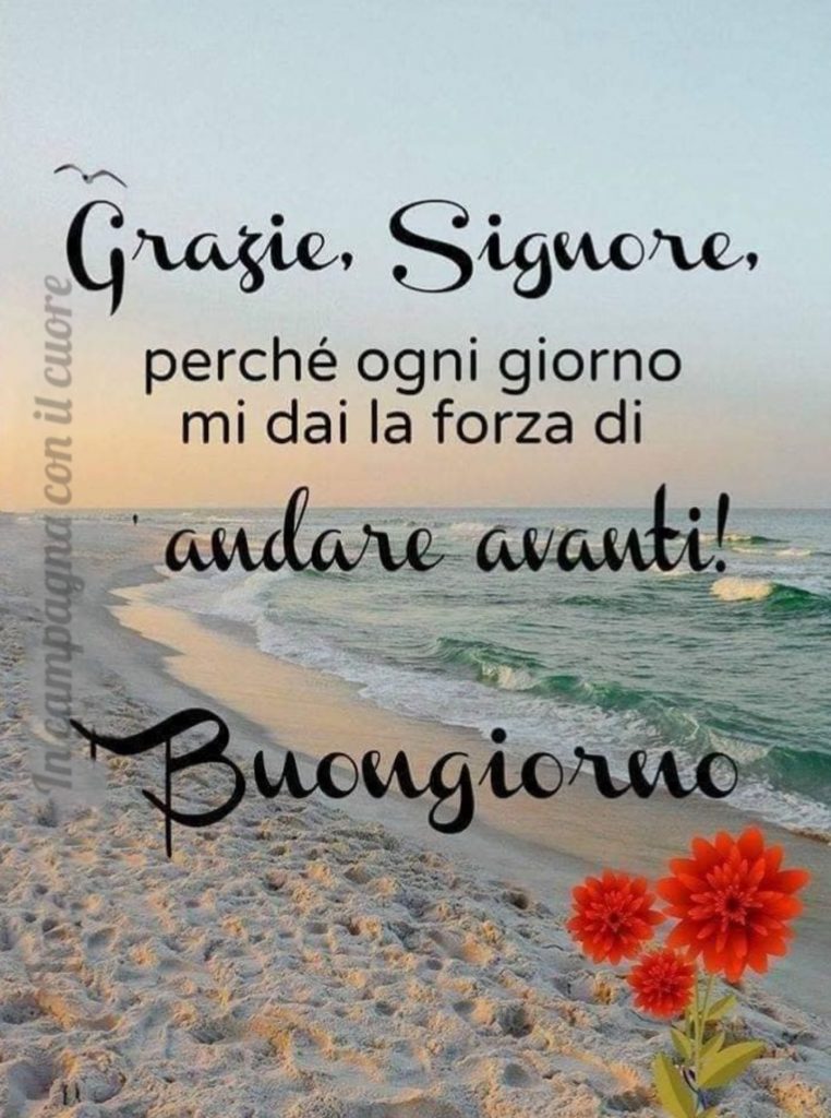 Grazie Signore, perché ogni giorno mi dai la forza di andare avanti! Buongiorno