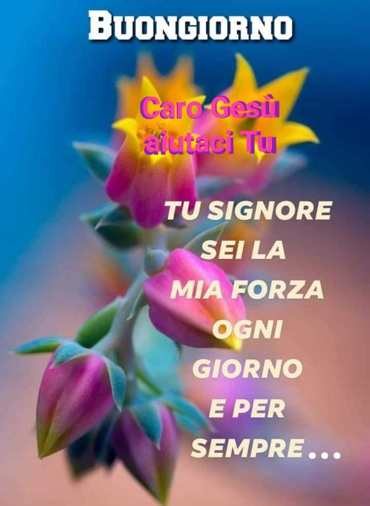 Buongiorno Caro Gesù aiutaci Tu...Tu Signore sei la mia forza ogni giorno e per sempre...