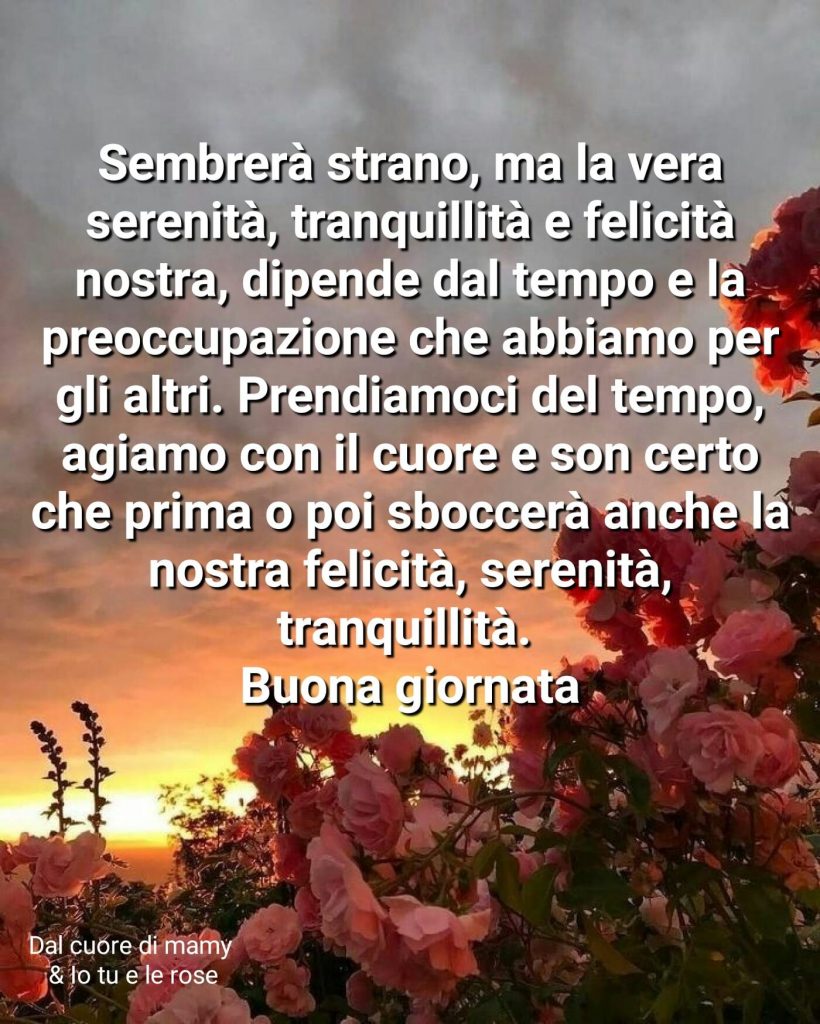 Sembrerà strano, ma la vera serenità, tranquillità e felicità nostra... Buona giornata