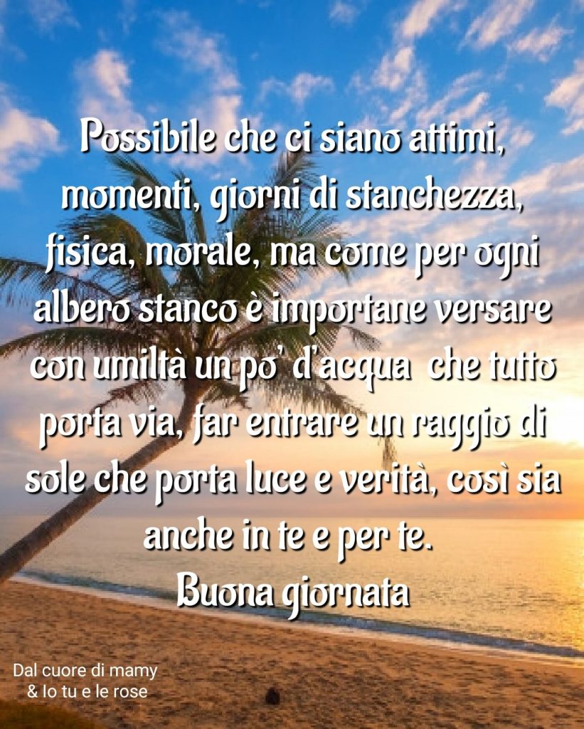 Possibile che ci siano attimi, momenti, giorni di stanchezza, fisica, morale, ma come per ogni albero stanco è importante versare con umiltà un po' d'acqua che tutto porta via, far entrare un raggio di sole che porta luce e verità, così sia anche in te e per te Buona giornata