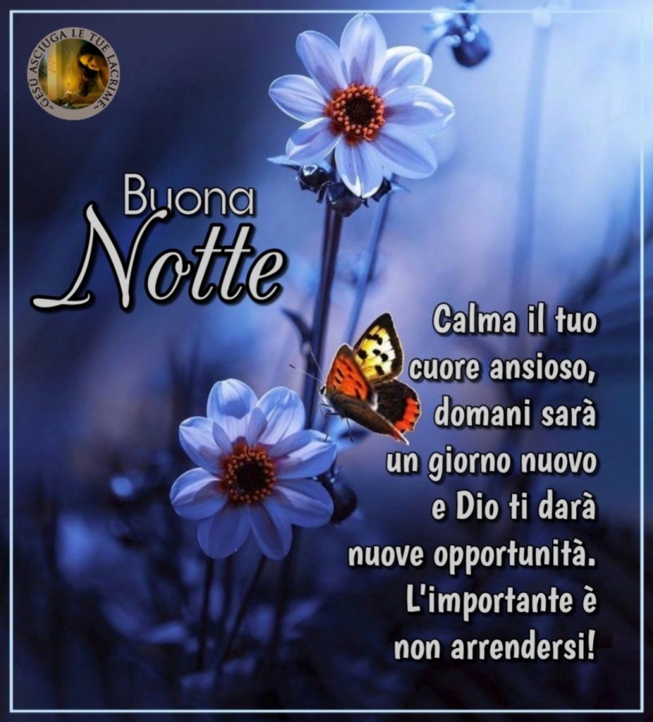 Buona Notte Calma il tuo cuore ansioso, domani sarà un giorno nuovo e Dio ti darà nuove opportunità. L'importante è non arrendersi!