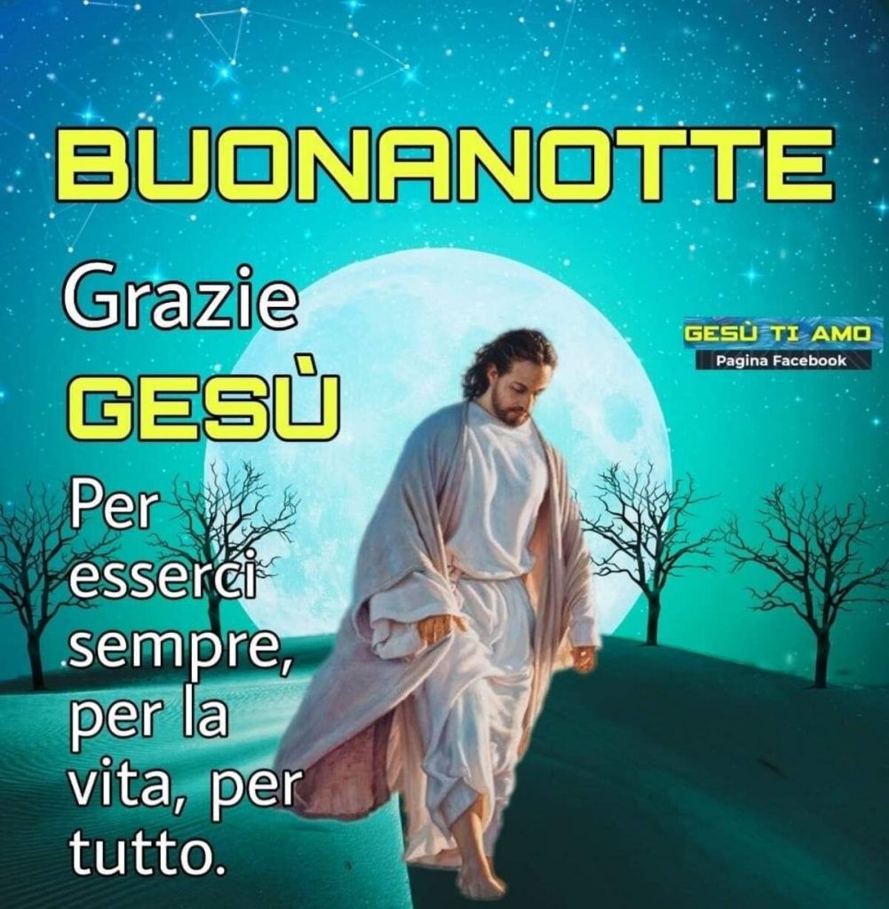 Buonanotte Grazie Gesù per esserci sempre, per la vita, per tutto