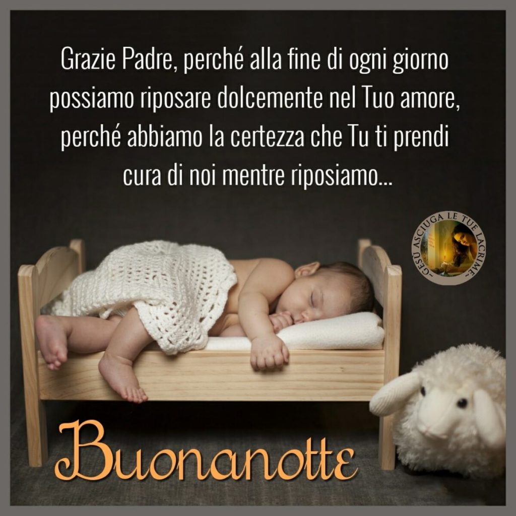 Grazie Padre, perché alla fine di goni giorno possiamo riposare dolcemente nel Tuo amore, perché abbiamo la certezza che Tu ti prendi cura di noi mentre riposiamo... Buonanotte