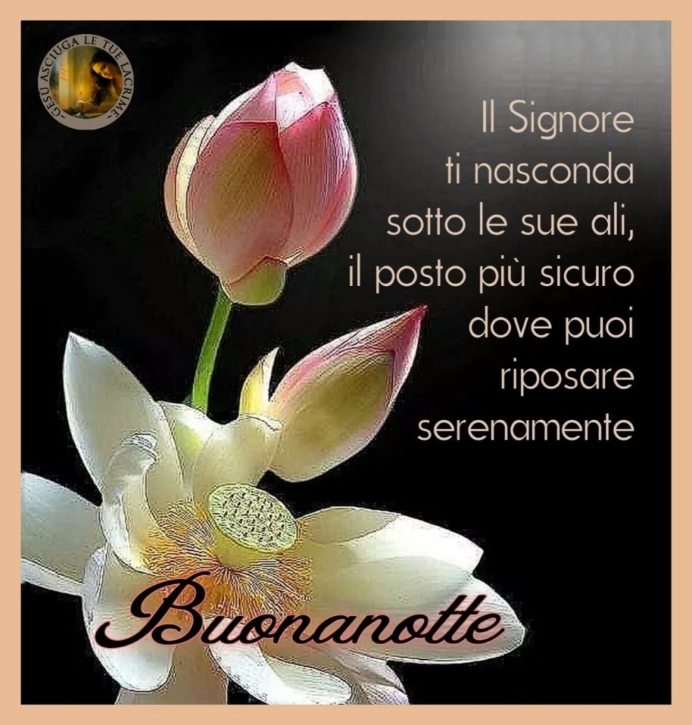 Il Signore ti nasconda sotto le sue ali, il posto più sicuro dove puoi riposare serenamente Buonanotte