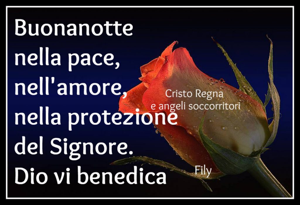 Buonanotte nella pace, nell'amore, nella protezione del Signore. Dio vi benedica