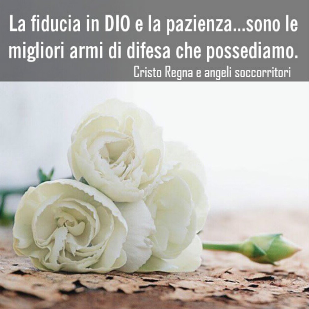 La fiducia in DIO e la pazienza... Sono le migliori armi di difesa che possediamo.