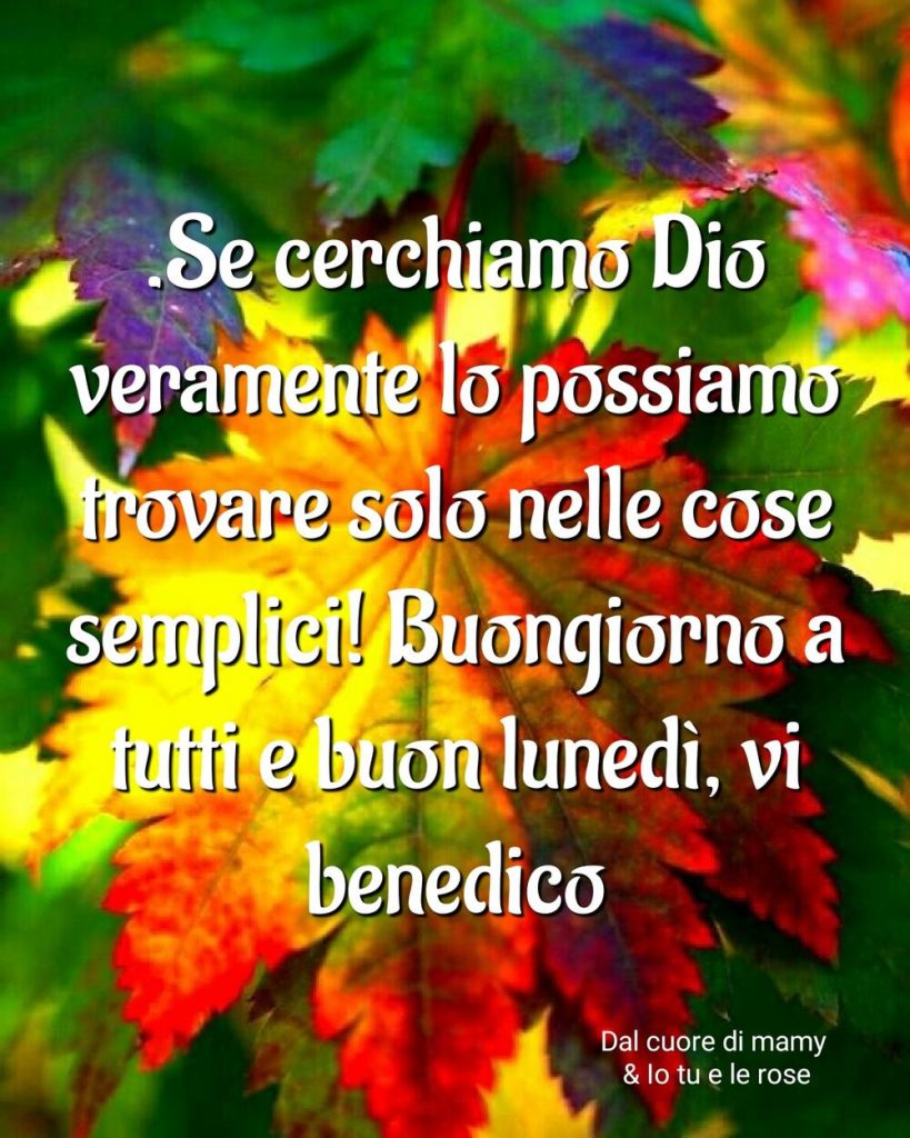 Se cerchiamo Dio veramente lo possiamo trovare solo nelle cose semplici! Buongiorno a tutti e buon lunedì, vi benedico