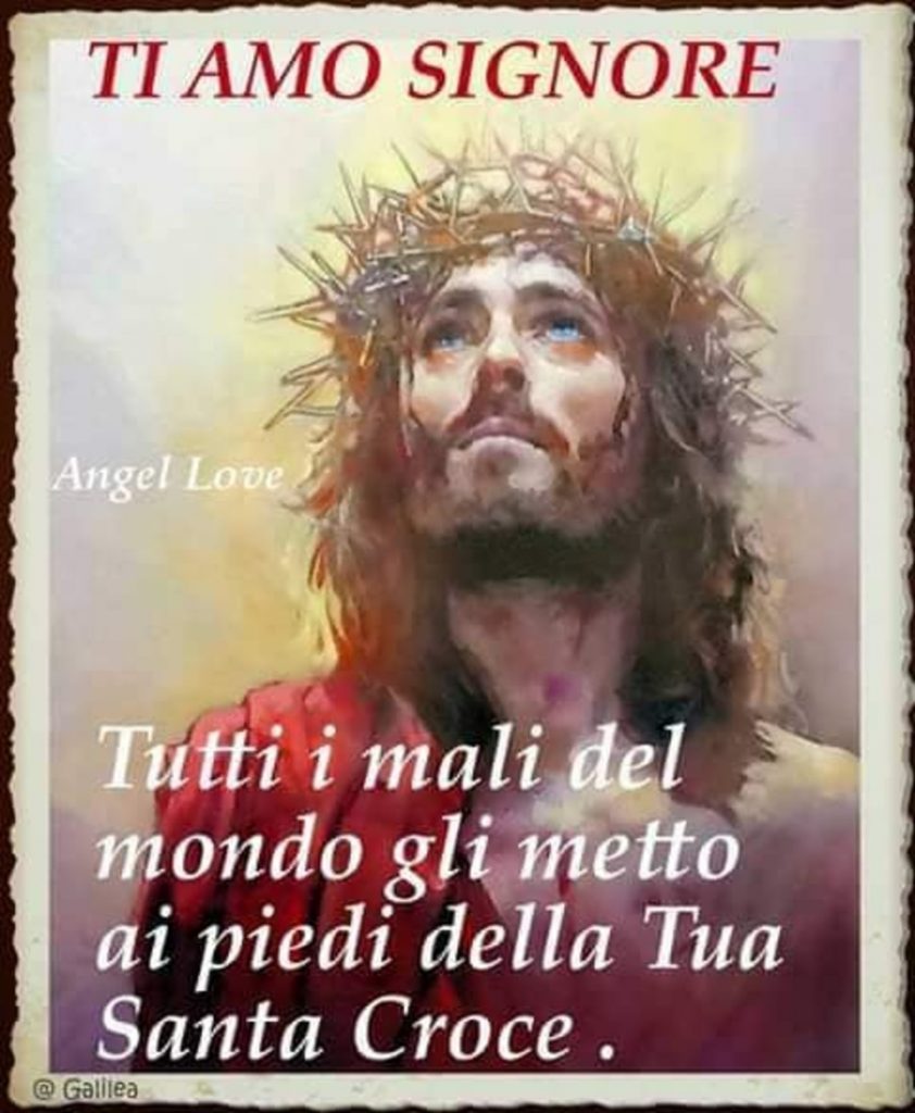Ti amo Signore Tutti i mali del mondo gli metto ai piedi della Tua Santa Croce.