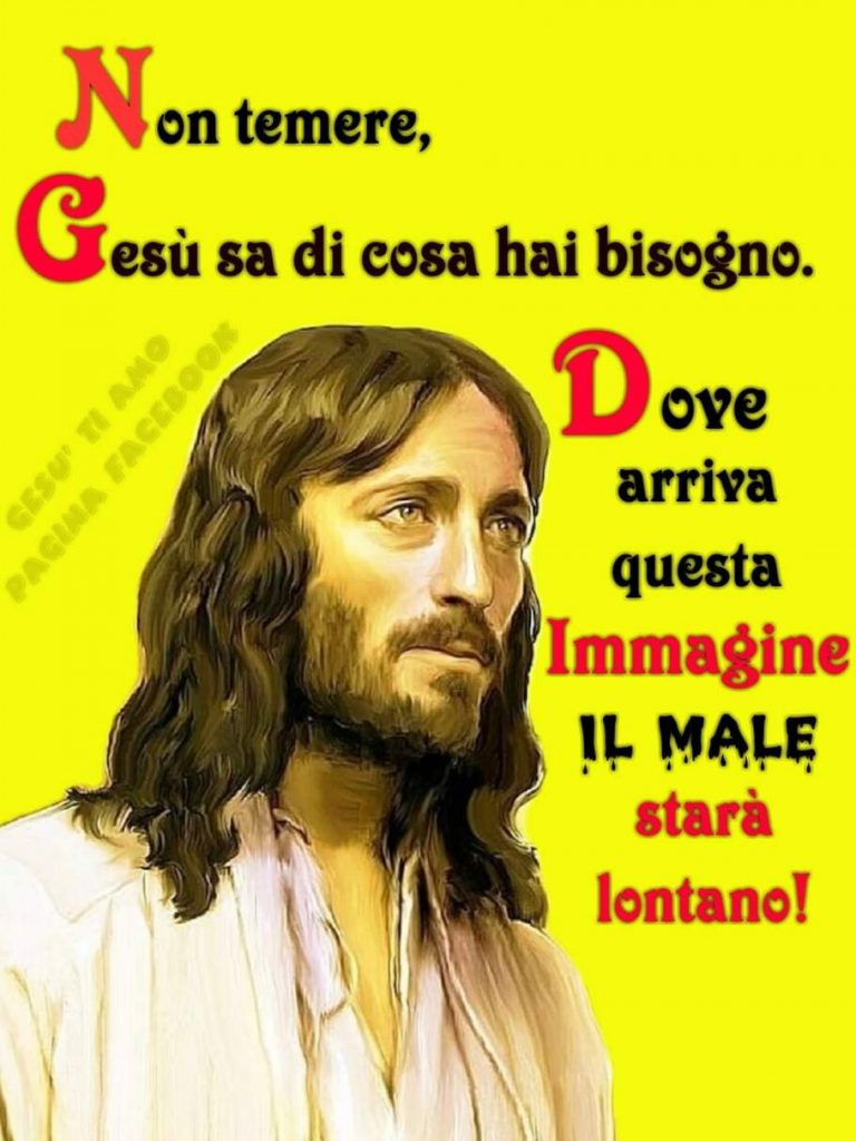 Non temere, Gesù sa di cosa hai bisogno. Dove arriva questa immagina il male sarà lontano!