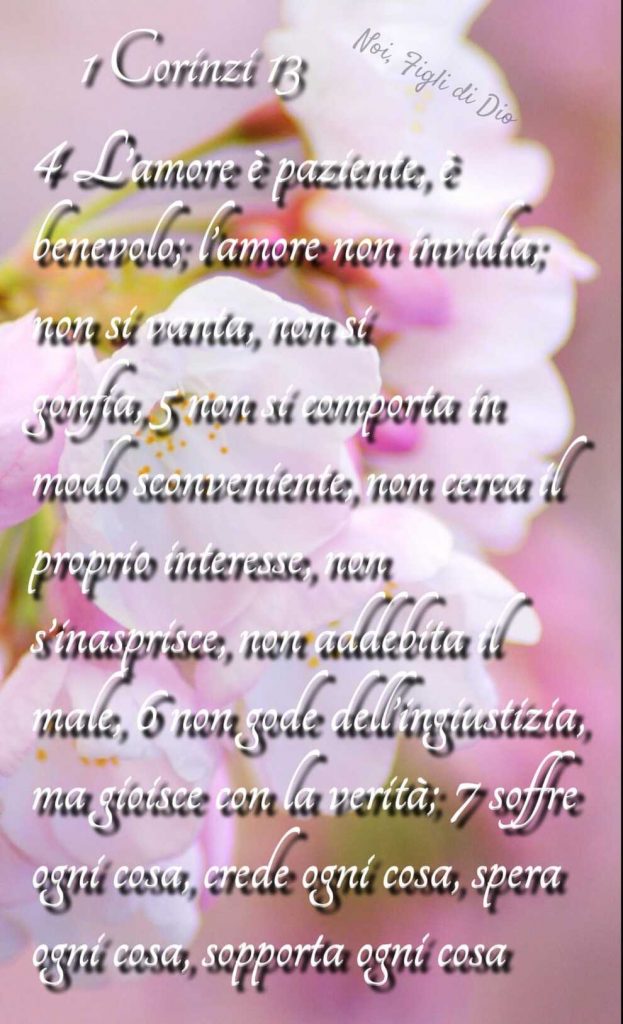 Corinzi 13 L'amore è paziente, è benevolo; l'amore non invidia; non si vanta non si gonfia...
