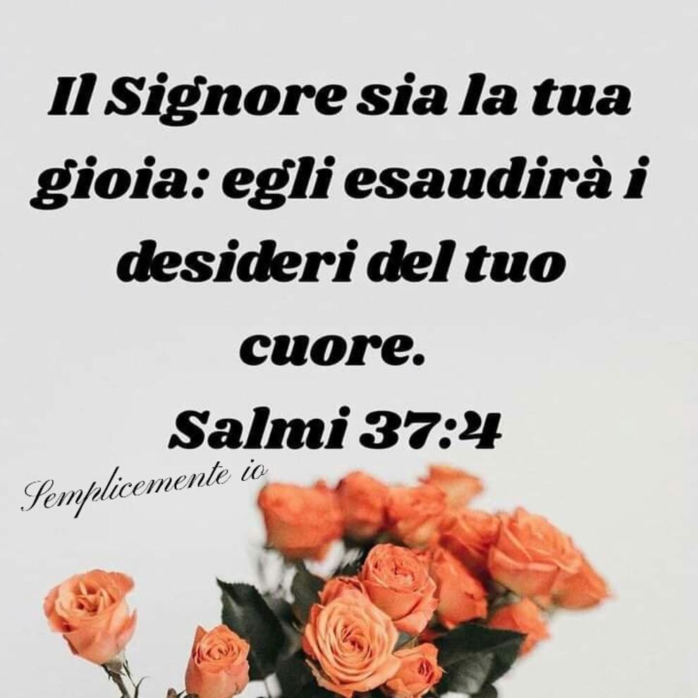 Il Signore sia la tua gioia: Egli esaudirà i desideri del tuo cuore. Salmi 37:4