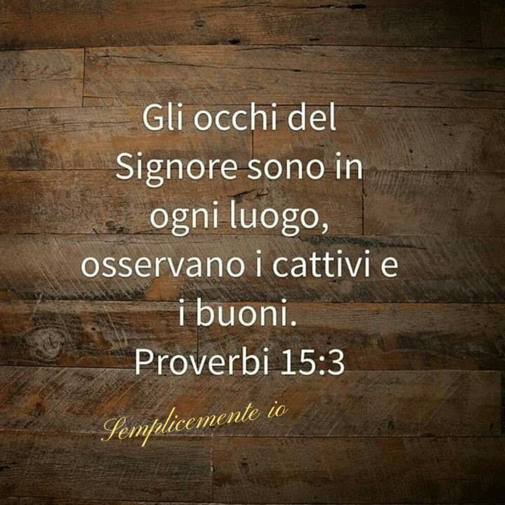 Gli occhi del Signore sono in ogni luogo, osservano i cattivi e i buoni. Proverbi 15:3