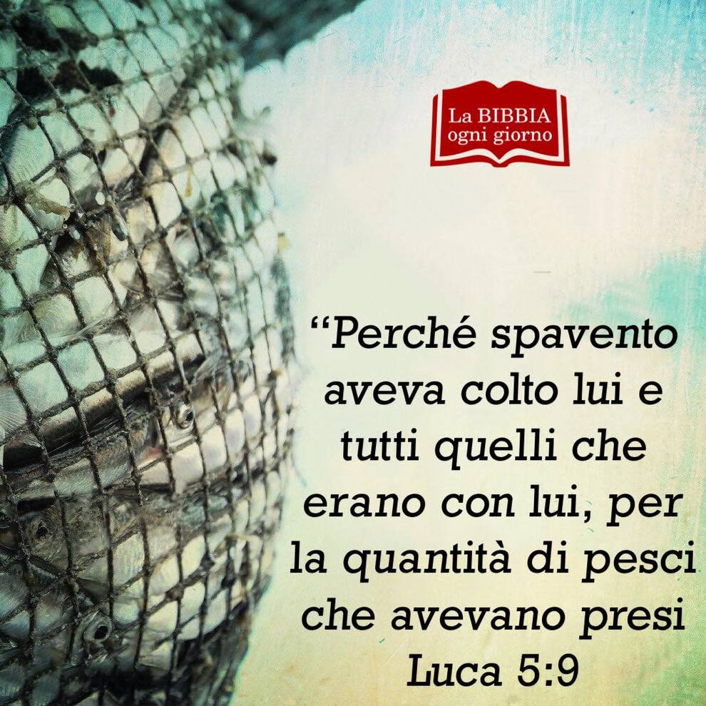"Perché spavento aveva colto lui e tutti quelli che erano con lui, per la quantità di pesci che avevano presi Luca 5:9