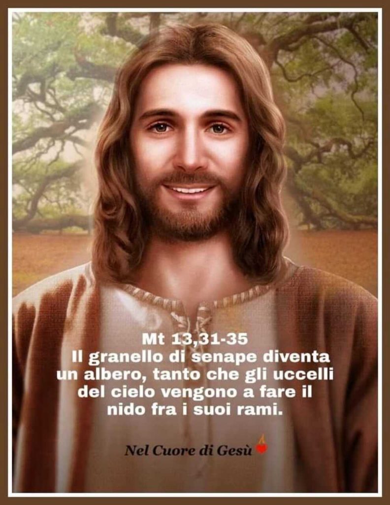 Mt 13, 31-35 Il granello di senape diventa un albero, tanto che gli uccelli del cielo vengono a fare il nido fra i suoi rami