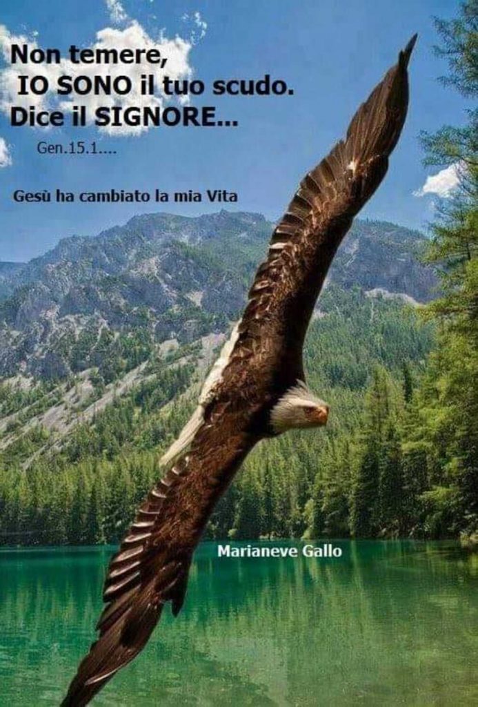 Non temere, IO SONO il tuo scudo. Dice il Signore....