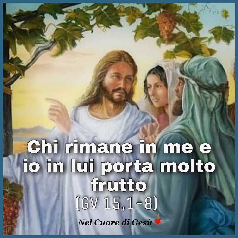Chi rimane in me e io in lui porta molto frutto (GV 15, 1-8)