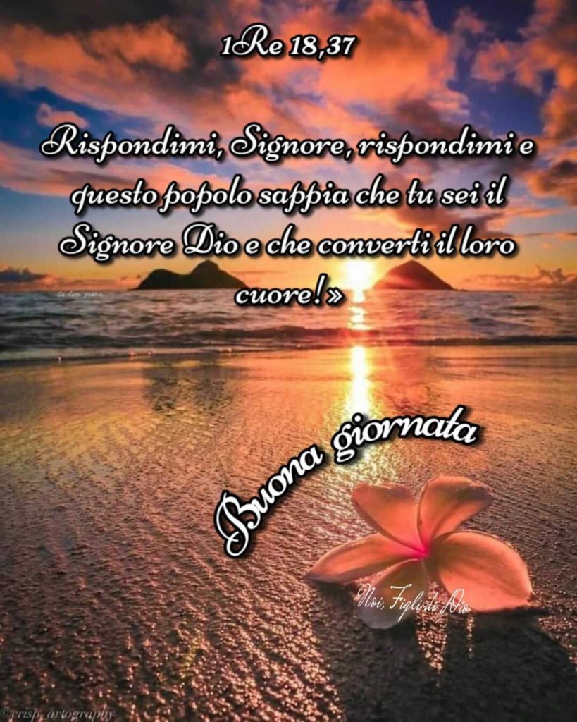 Rispondimi, Signore, rispondimi e questo popolo sappia che tu sei il Signore Dio e che converti il loro cuore! Buona giornata