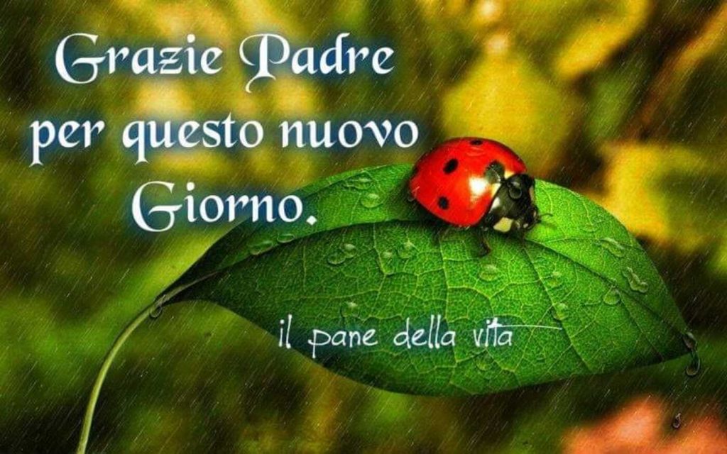 Grazie Padre per questo nuovo giorno