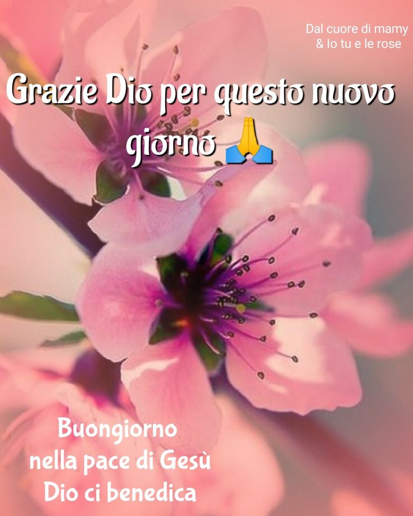 Grazie Dio per questo nuovo giorno Buongiorno nella pace di Gesù, Dio ci benedica