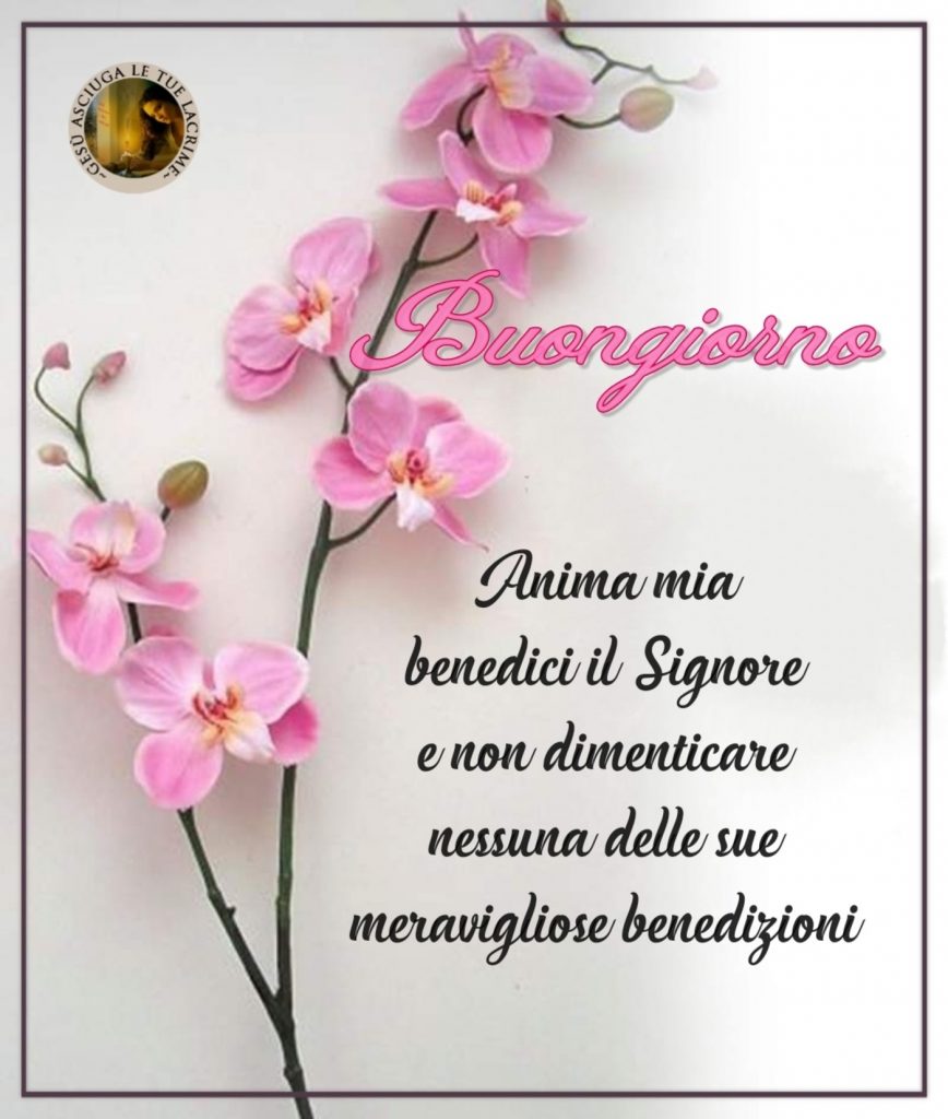 Buongiorno anima mia benedici il Signore e non dimenticare nessuna delle sue meravigliose benedizioni