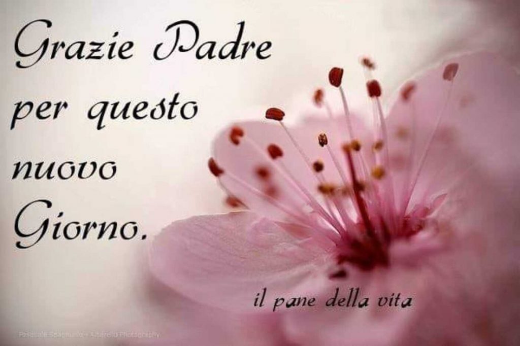 Grazie Padre per questo nuovo giorno