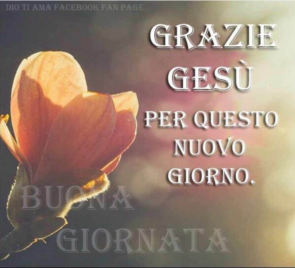 Grazie Gesù per questo nuovo giorno