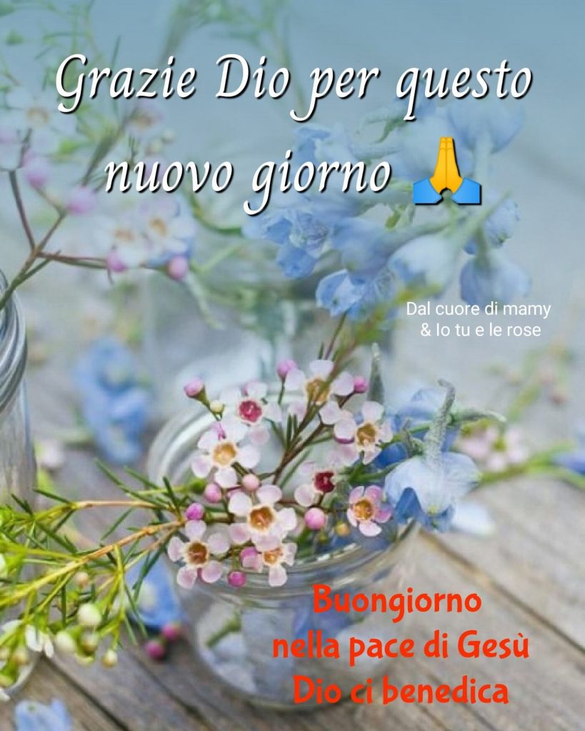 Grazie Dio per questo nuovo giorno Buongiorno nella pace di Gesù Dio ci benedica