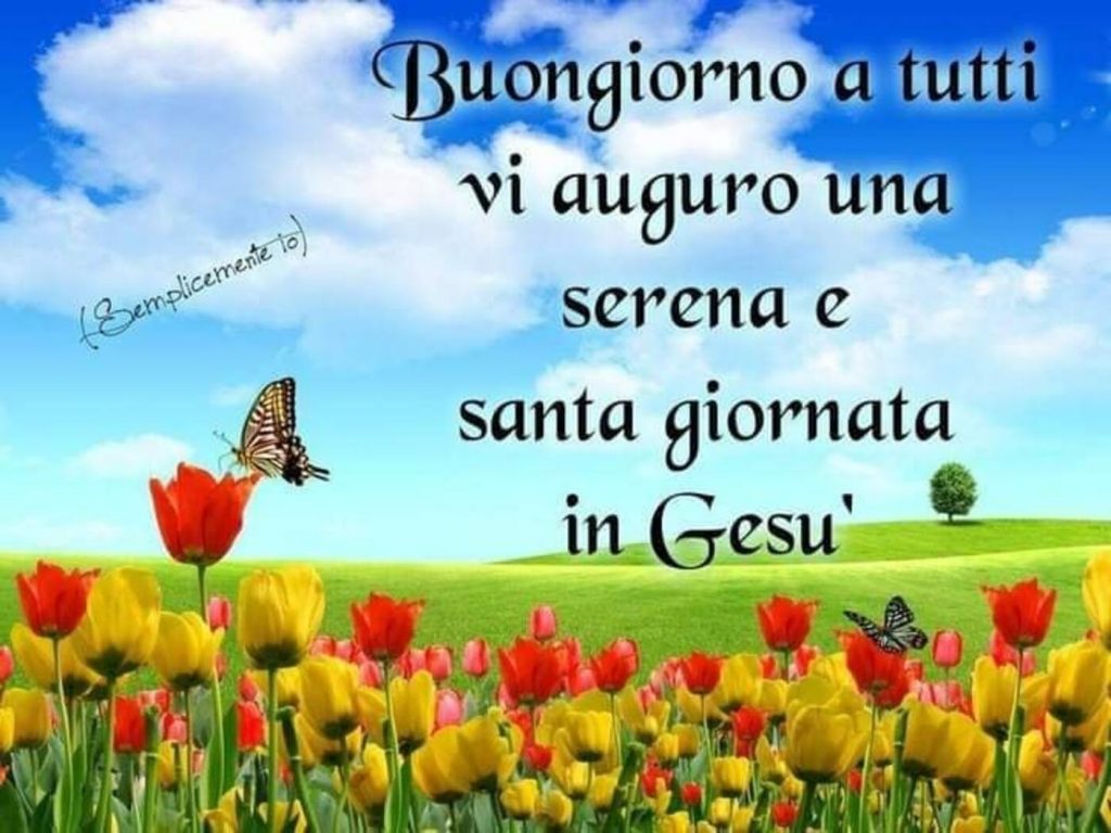 Buongiorno a tutti vi auguro una serena e santa giornata in Gesù