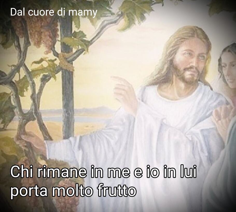 Chi rimane in me e io in lui porta molto frutto